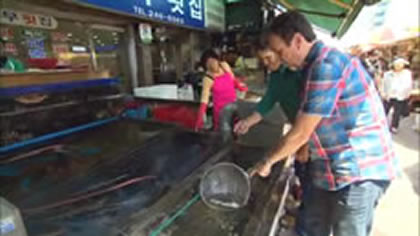 Jagalchi Fish Markets