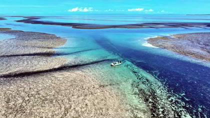 Montgomery Reef